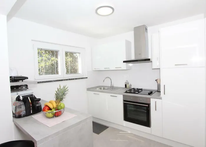 Polenta * Ρόβινι